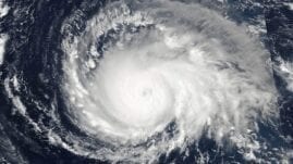 Chaos in the Storm - The Carpenters Workshop